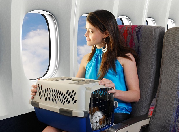 Vận chuyển thú cưng bằng đường hàng không