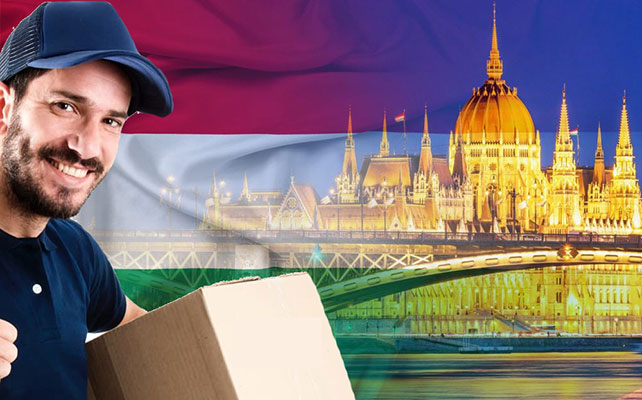 Gửi hàng đi Hungary giá rẻ tại Đà Nẵng Logistics