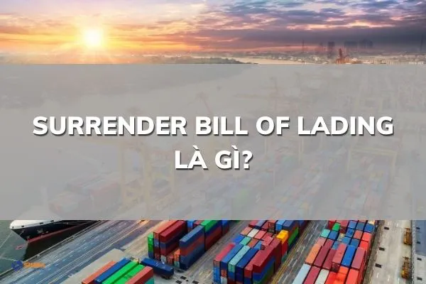 Surrender Bill là gì? Hướng dẫn cách làm Surrender Bill